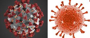Es ist theoretisch möglich, dass sich Erbgut von Coronaviren (links) und HI-Viren (rechts) mischt - doch die Hinweise darauf, die Forscher in Indien gefunden haben wollen, sind keine. 