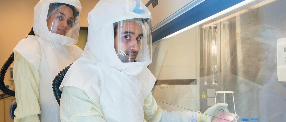Wissenschaftler zeigen eine Multiwellplatte mit vom Coronavirus infizierten Zellkulturen in einem Labor der biologischen Sicherheitsstufe 3 (Hochsicherheitslabor) im Helmholtz-Zentrum für Infektionsforschung HZI. 
