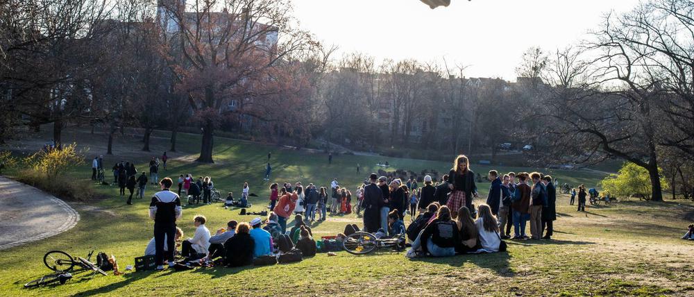 Jugendliche sitzen in einem Park bei Sonnenschein in größeren Gruppen eng zusammen.