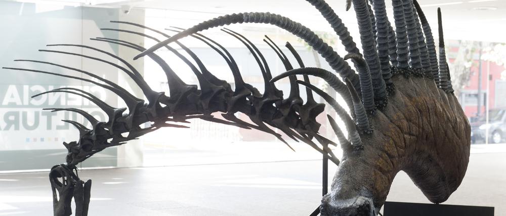 Den neu entdeckten Dino nannten die Forscher Bajadasaurus pronuspinax.