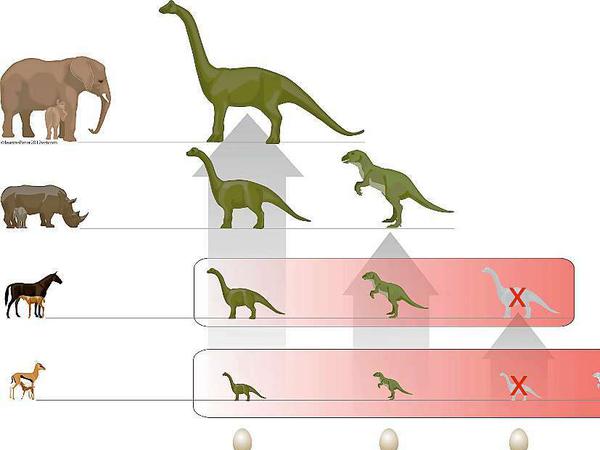 Konkurrenz. Kleine Dinos konnten sich gegen die Jungtiere anderer Arten nicht durchsetzen. Doch ihre Größe wurde den Sauriern vor 65 Millionen Jahren zum Verhängnis.