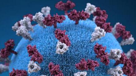 Modell das Masernvirus mit dem F-Protein