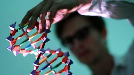 Modell eines DNA-Doppelstrangs.