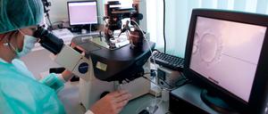 Eine Ärztin injiziert mit Hilfe einer Präzisionsapparatur Spermien direkt in eine noch unbefruchtete Eizelle 