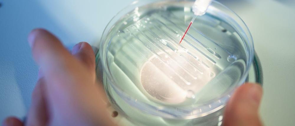 Eine wissenschaftliche Mitarbeiterin wendet das CRISPR/Cas9-Verfahrens in einem Labor an.
