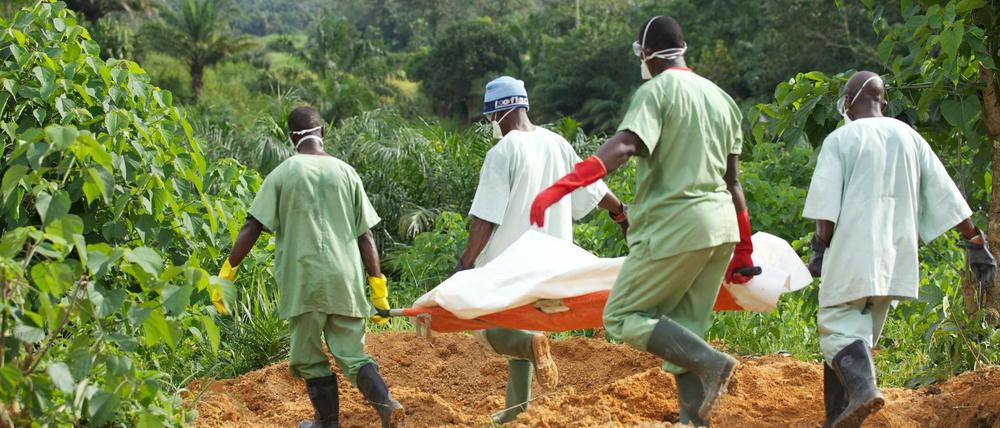In Guinea wurde ein Impfstoff gegen Ebola getestet, als die Seuche dort 2015 umging. 
