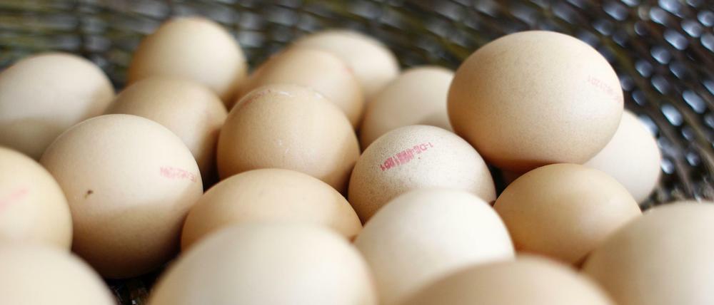 Statt als Biomüll auf den Kompost zu wandern, könnten Eierschalen in einigen Jahren helfen, elektrischen Strom zu speichern.