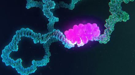 Ändert sich das Erbgut (blau), dann hat das Auswirkungen auf das ganze von Sars-CoV-2-Virus, etwa wie Proteine (pink) daran binden. 