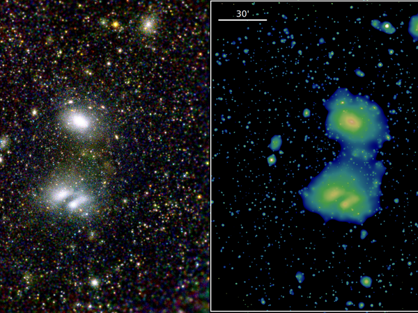 Die beiden interagierenden Galaxienhaufen A3391 (oben) und A3395 (unten).