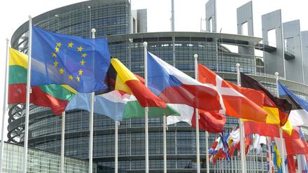 Flaggen der Mitgliedsländer der Europäischen Union wehen vor dem Europa-Parlament in Straßburg.
