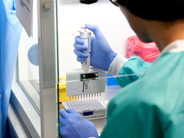 Ein Blick in ein Labor zum Testen auf das Coronavirus