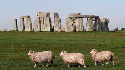 Vor dem Steinzeitmonument Stonehenge laufen Schafe über eine Weide.