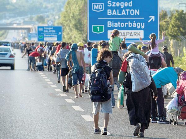 Ein langer Treck von Flüchtlingen geht zu Fuß auf einer Autobahn in Ungarn.