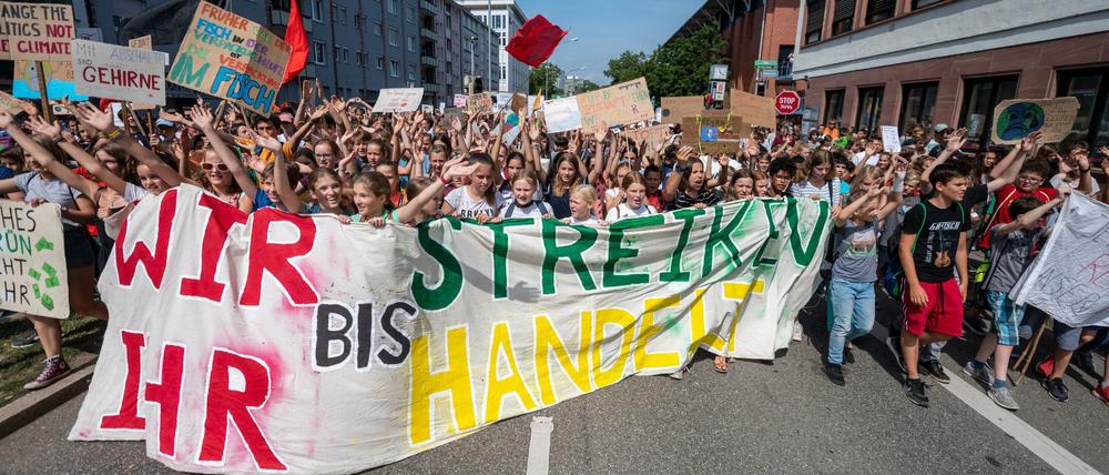Schülerinnen und Schüler bei einer "Fridays for Future"-Demo in Baden-Württemberg.