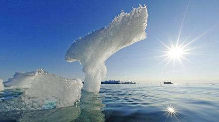 Tief im arktischen Eismeer geraten Meeresschwämme in unerwartete Bewegung.