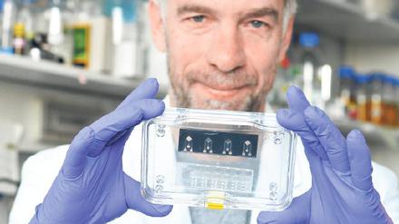 Testplattform von morgen. Roland Lauster und sein Team arbeiten an einem Biochip. In den mikroskopisch kleinen Vertiefungen wollen sie Miniatur-Organe züchten und daran beispielsweise die Wirkung von Arzneien oder Chemikalien testen. Foto: TU Pressestelle/Dahl