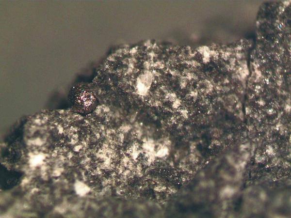 Die winzige Kugel aus Eisenmetall, die Forscher der Freien Universität aus dem Mondgestein freipräpariert haben, widerlegt Theorien, nach denen es die Mondlandung nie gegeben hat.