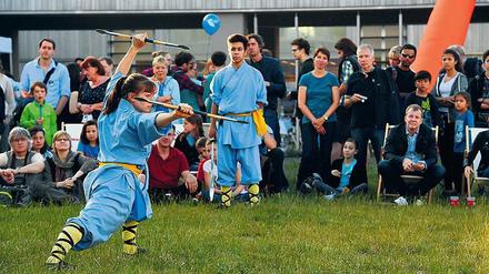 Kampfkunst in Perfektion. Schülerin des Shaolin Tempels beim Kungfu.
