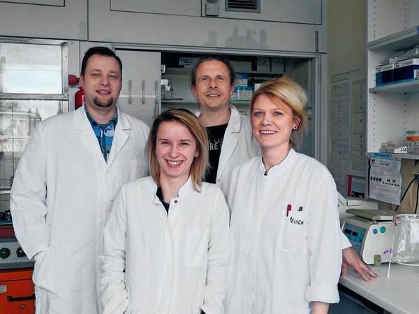 Das „ChemSnep“-Team arbeitet an Lösungen: Christian Gleisberg (hinten li.) und  Jens Baumgardt (hinten re.) sowie die Masterstudentinnen Sarah Bleile (vorne li.) und Miriam Müller (vorne re.).