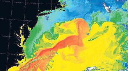 Wärme aus der Karibik. Die Satellitenaufnahme zeigt, wo der Atlantik vor der US-Ostküste besonders warm (rot) ist. Foto: AFP/Nasa