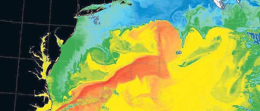 Wärme aus der Karibik. Die Satellitenaufnahme zeigt, wo der Atlantik vor der US-Ostküste besonders warm (rot) ist. Foto: AFP/Nasa