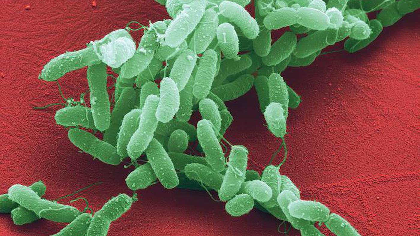 Infektionskrankheiten Spur der Keime