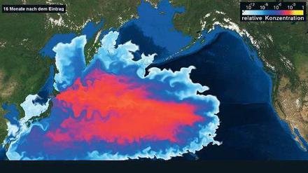 Wolke im Wasser. Mit der Entfernung vom Unglücksort Fukushima, links auf der Karte, nimmt die Konzentration von Cäsium-137 ab (von rot zu hellblau). Im Herbst 2013 sollten die ersten "Fukushima-Isotope" Hawaii erreichen, etwas später die amerikanische Westküste. 