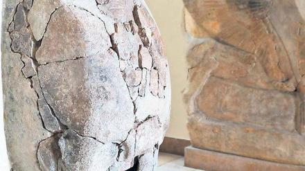 Antike Sphinx. Diese Löwenfigur, die Sphinx von Hattuscha, erhielt die Türkei 2011 zurück. Hier ist sie noch im Berliner Pergamonmuseum zu sehen, wo sie zuvor stand.