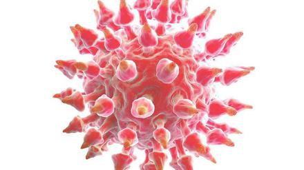 Warzenvirus. Humane Papillomaviren können Warzen verursachen. Sie führen aber auch zu Krebs an Gebärmutterhals, Schamlippen, Penis oder Anus. 
