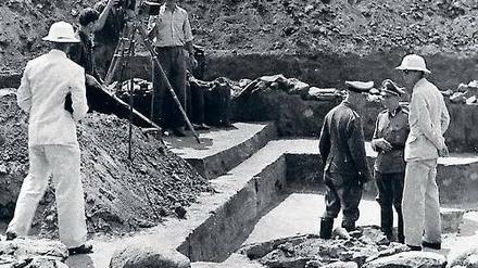 Die SS war dabei. Grabung in Solonje (Ukraine) 1943. Bei Grabungen wurden auch KZ-Häftlinge eingesetzt.