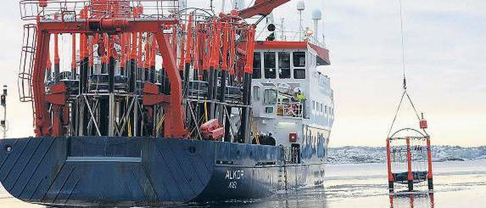 Ausgesetzt. Im Januar wurden die schwimmenden Laboratorien von einem Forschungsschiff in den Gullmarfjord gebracht. Täglich fahren Wissenschaftler zu der Anlage, um Proben zu entnehmen. 