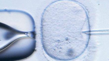 Gläsern. Eine Erbgutanalyse ermöglicht es, gesunde Embryonen auszusuchen.