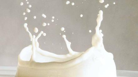 Spritzende Milch zeigt ein Nahrungsmittel, in dem natürliches Kalzium enthalten ist.