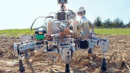 Spinnenartig. Dieser Roboter bringt Samen in den Boden und markiert die Stellen, um doppelte Aussaat zu vermeiden. 