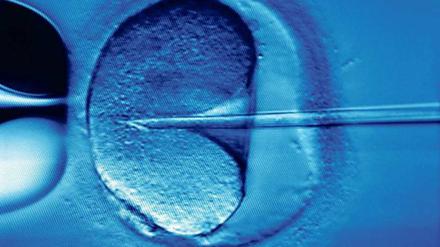 Künstliche Befruchtung. Forscher und Ethiker diskutieren, wie stark eine Eizelle verändert werden darf, aus der später ein Mensch heranwachsen soll.