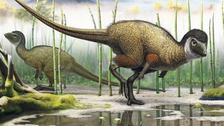 Gut isoliert. Die kompakten Dinos durchstreiften vor 150 Millionen Jahren das heutige Sibirien. Mit ihrem wärmenden Federkleid gleichen sie Vögeln, die nicht fliegen können.
