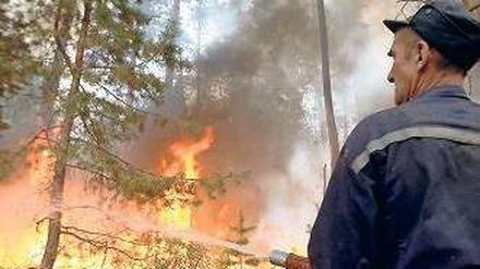 Folge der Hitze. 2010 wüteten in Russland viele Waldbrände. 