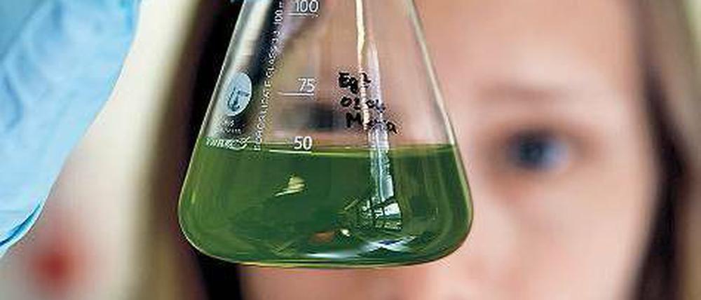 Eine Forscherin betrachtet im Labor eine chemische Lösung.