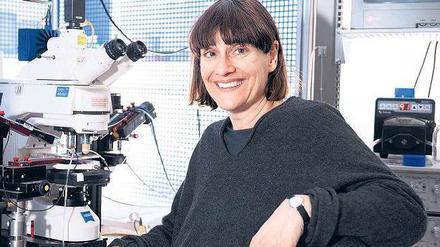 Querdenkerin. Die Neurophysiologin und Stammzellforscherin Magdalena Götz ist erst die vierte Frau, die mit dem Ernst-Schering-Preis ausgezeichnet wurde.