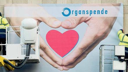 Durch die Transplantationsskandale der letzten Jahre sinkt die Bereitschaft, Organe zu spenden.