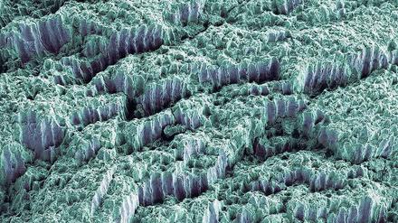 Das härteste Material im Körper. Zahnschmelz (hier eine Bruchstelle unter dem Elektronenmikroskop) ist extrem widerstandsfähig. Der Grund sind Netzwerkstrukturen aus Kristallfasern.