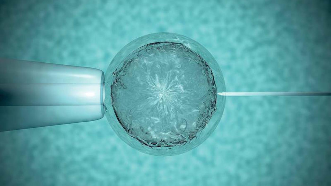 KinderwunschBehandlung im Ausland „50 Jahre ist ein faires Limit“