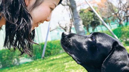 Echte Freundschaft. Im Laufe der Jahrtausende entdeckten Hunde zufällig einen Weg in die Herzen ihrer menschlichen Besitzer: möglichst lange Blickkontakt halten.