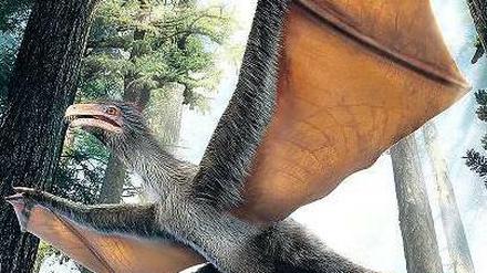 Draculas Urahn. So ungefähr könnte der jetzt entdeckte Dinosaurier mit Fledermausflügeln ausgesehen haben. 