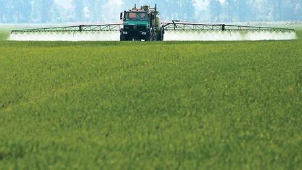 Umstritten. Glyphosat ist das am meisten verwendete Herbizid. Das Foto zeigt, wie Pflanzenschutzmittel durch einen LKW großflächig auf ein begrüntes Feld gesprüht wird.