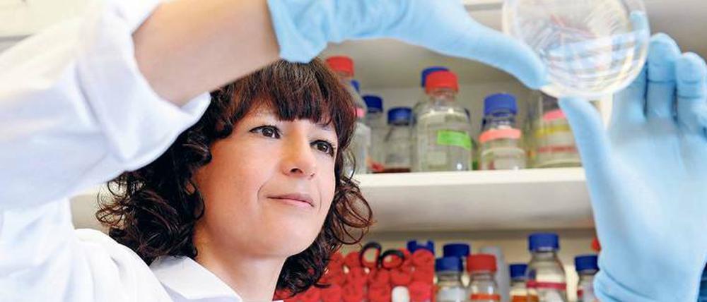 Revolution aus der Petrischale. Die Biologin Emmanuelle Charpentier hat mit der Genschere Crispr-Cas9 ein biotechnisches Verfahren mitentwickelt, das neue Perspektiven für Forschung, Biotechnik und Medizin bereithält. Seit Oktober 2015 ist die Französin Direktorin am Max-Planck-Institut für Infektionsbiologie in Berlin-Mitte. 