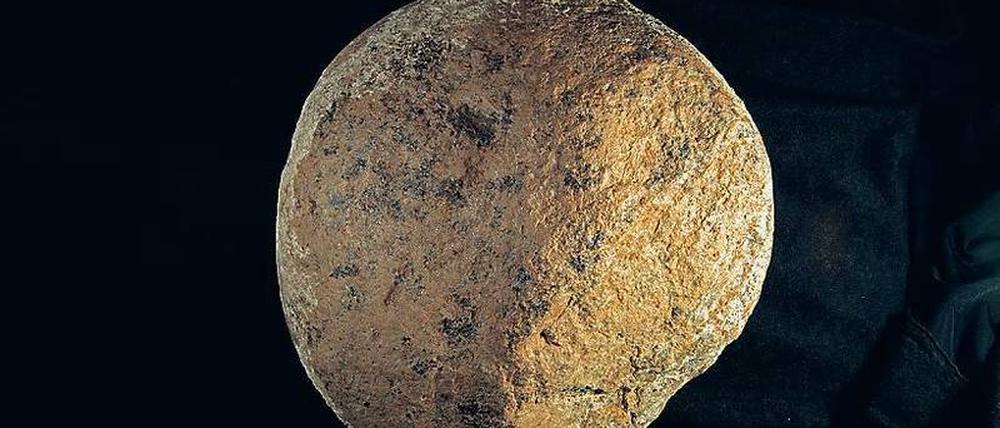 Kalifornischer Ur-Hammer. Nach Ansicht der Forscher wurde der Stein von Frühmenschen benutzt, um Knochen zu zerschlagen und an deren Mark zu gelangen..