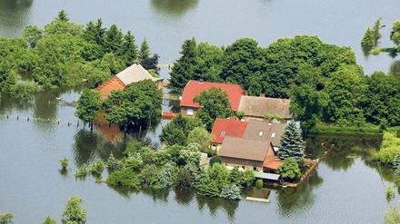 Unter Wasser. Elbe-Überschwemmung in der Nähe von Wittenberge (Brandenburg).