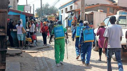 In Antananarivo der Hauptstadt Madagaskars, sollen Desinfektionskampagnen das Risiko einer Infektion über Rattenflöhe reduzieren.