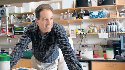 Mit Biologie wollte der Computeringenieur Ron Weiss lange nichts zu tun haben. Jetzt laufen seine Computerprogramme in Zellen ab. Er ist überzeugt, dass sie bald auch Patienten mit Aids oder Krebs helfen können. 
